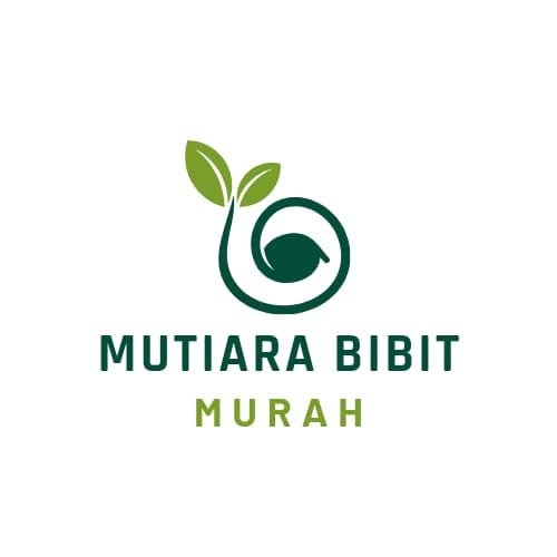 MUTIARA BIBIT MURAH